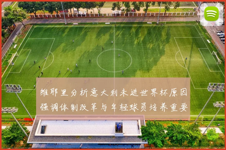 维耶里分析意大利未进世界杯原因强调体制改革与年轻球员培养重要性
